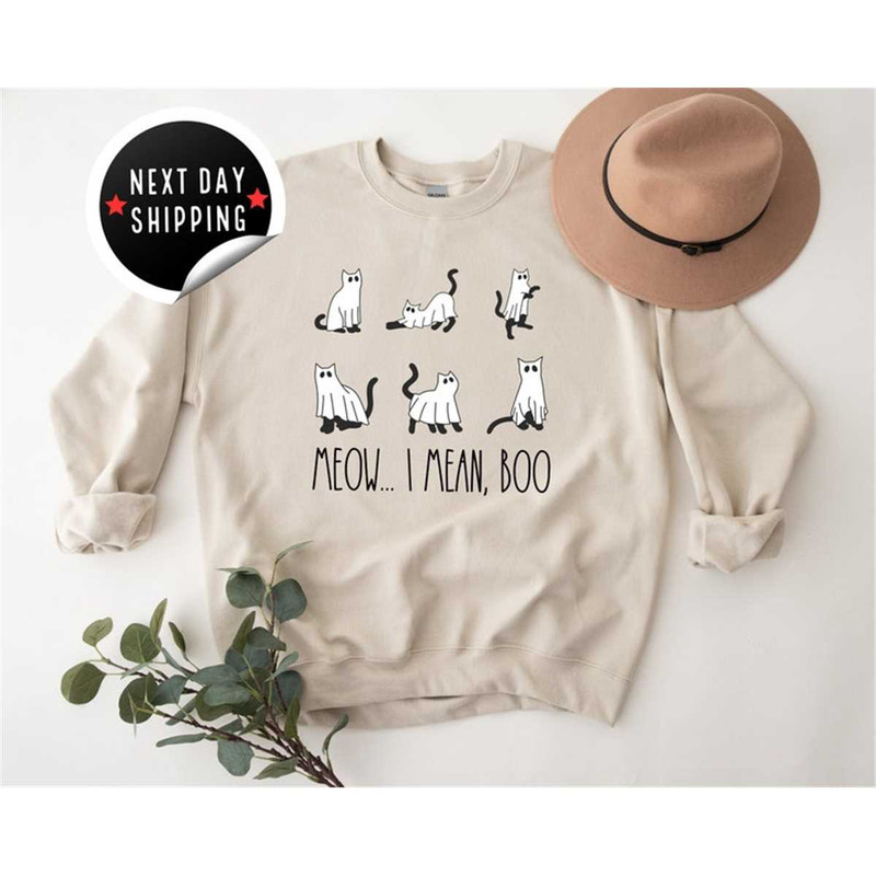MR-258202312515-halloween-cat-sweatshirtmeowi-mean-boocat-image-1.jpg