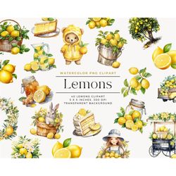 watercolor lemons clipart png, watercolor sublimation lemons clipart, lemons bundle illustrations, commercial license