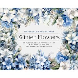 winter flowers png, winter  bouquets, watercolor floral clipart bouquets, elements, commercial use, digital clipart png