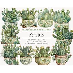 watercolor cactus clipart, succulent clip art png, watercolor cactus png, instant download, commercial license