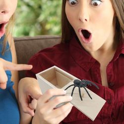 hidden wooden prank spider box
