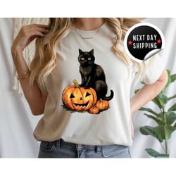 black cat on pumpkin shirt, shirt for fall, black cat t-shirt, halloween black cat design, fall shirt, halloween shirt