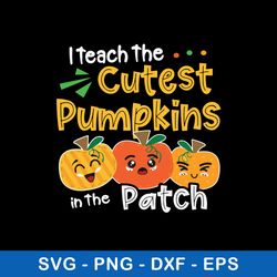 i teach the cutest pumpkins in the patch svg, pumpkin svg, png dxf eps file