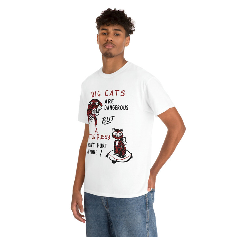 Big Cats Are Dangerous But A Little Pussy Won't Hurt Anyone Tee - 6.jpg
