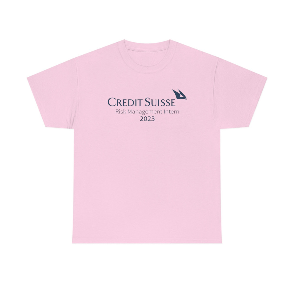 Funny Credit Suisse Risk Management Intern tee - 8.jpg