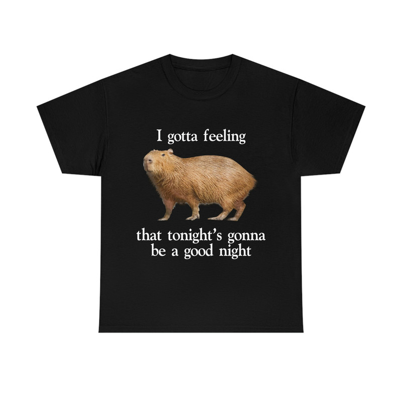 I Gotta Feeling That Tonight's Gonna Be A Good Night Capybara T-Shirt, Funny Meme Tee - 1.jpg