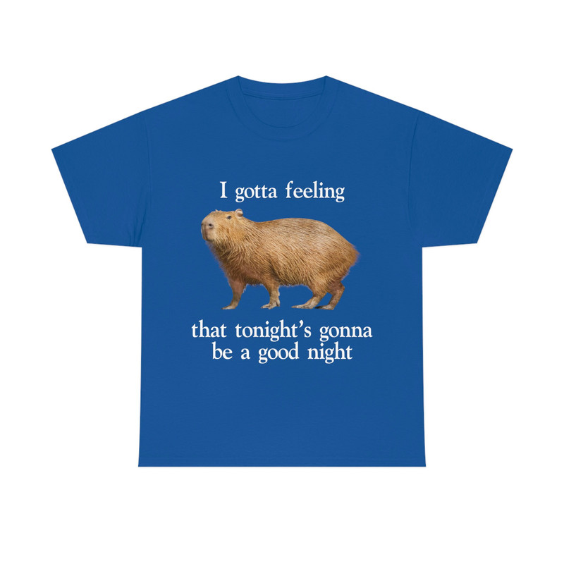 I Gotta Feeling That Tonight's Gonna Be A Good Night Capybara T-Shirt, Funny Meme Tee - 10.jpg