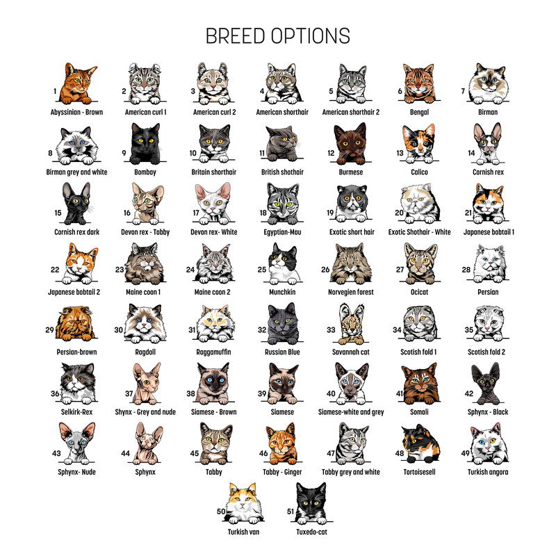 Custom Cat Shirt, Cat Lovers Shirt, Personalized Cat Shirt, Gift for Dad, Gift for Mom, Gift for Christmas, Cat Lover Gift, Cat Mom Shirt - 5.jpg