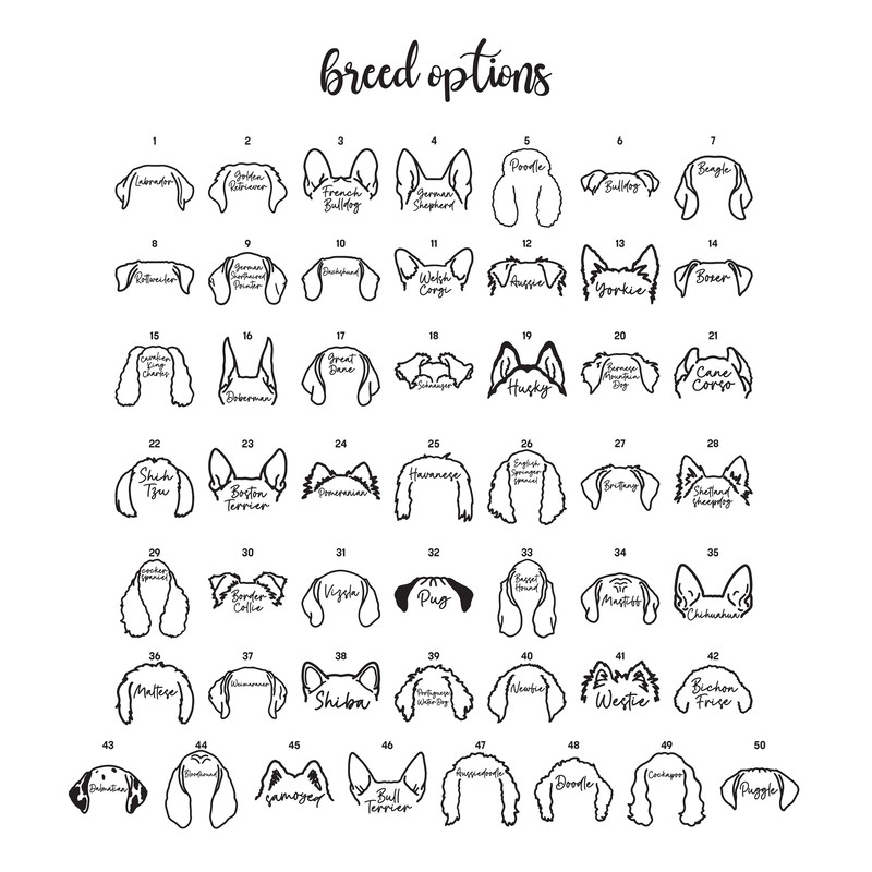 Custom Dog Ears Sweatshirt, Dog Mom Sweatshirt, New Dog Owner Sweatshirt, Pet Lover, Xmas Gift, Dog Lover Sweatshirt, Dog People Sweatshirt - 5.jpg