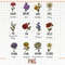 Birth Month Flowers Clipart, Antique Floral PNG Bundle, DIY Birth Month Flower Print Creator Kit, Flower Graphic, Botanical Clipart - 1.jpg