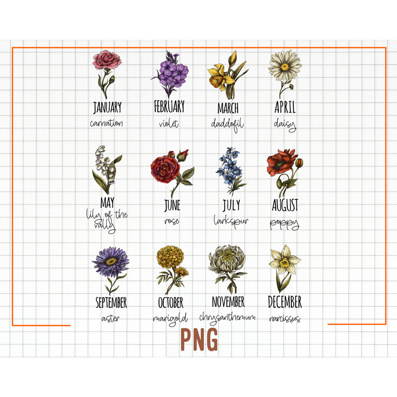 Birth Month Flowers Clipart, Antique Floral PNG Bundle, DIY Birth Month Flower Print Creator Kit, Flower Graphic, Botanical Clipart - 1.jpg