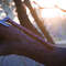 WhatsApp Image 2023-08-26 at 2.05.52 PM.jpeg