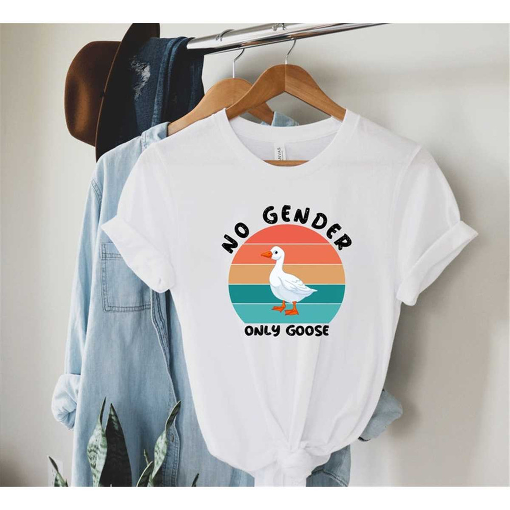 MR-2682023193334-lgbtq-ally-shirt-no-gender-only-goose-shirt-adult-gender-image-1.jpg