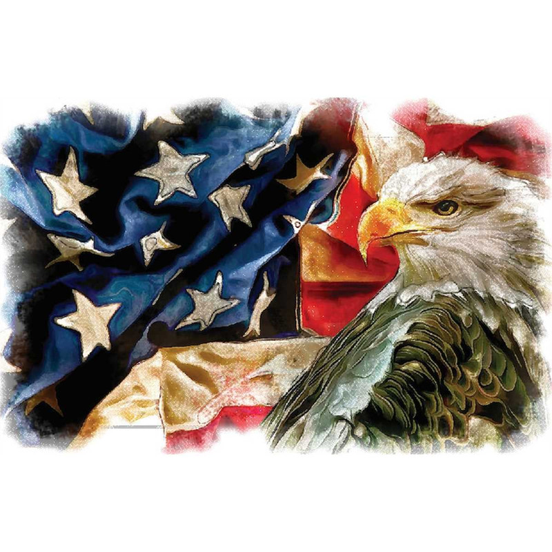 MR-2782023104129-bald-eagle-bird-art-american-flag-eagle-png-eagle-and-usa-flag-image-1.jpg