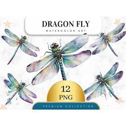 Set of 12, Watercolor Dragonfly Clipart, Dragonfly PNG, Boho Dragonfly PNG, Dragonflies Clipart, Dragonfly Art, Sublimat