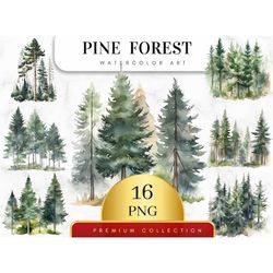 Set of 16, Watercolor Forest Tree Clipart, Pine Tree Png , Woodland Tree, Forest Landscape, Watercolor Tree, Wedding inv