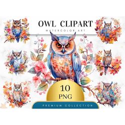 Set of 10, Watercolor Owl , Owl clipart, Owl PNG, Owl Art, Owl digital, Card Making, Clip Art, Digital Paper Craft, Wall