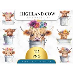 Set of 12, Highland Cow in Bucket Png, Highland Cow in Tub PNG, Baby Shower Decor, Highland Cow SVG,  Cow  PNG Clipart,