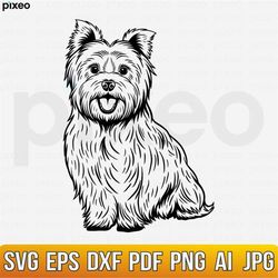 yorkshire terrier svg, yorkshire clipart, yorkshire cricut, yorkshire cutfile, yorkie svg, yorkshire mom svg, yorkshire