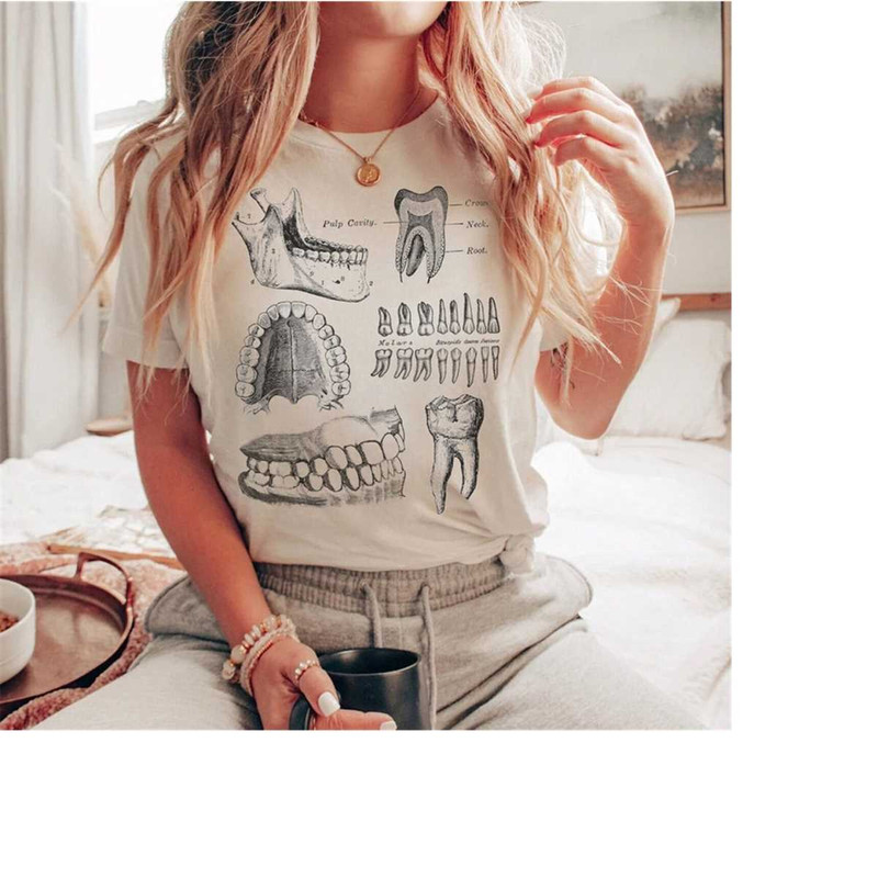 MR-288202384152-dental-anatomy-shirt-dentist-assistant-t-shirt-teeth-tooth-white.jpg