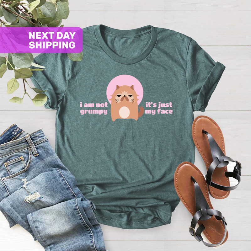 I'm Not Grumpy It's Just My Face Shirt, Cat Lovers Shirt, Cat Owner Gift Shirt, Cat Shirt, Funny Quote Grumpy T-Shirt, Grumpy Face Shirt - 3.jpg