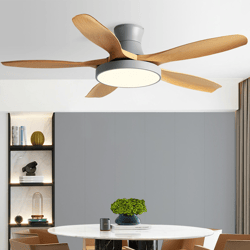 Domestic High Wind Low Floor Suction Fan Light