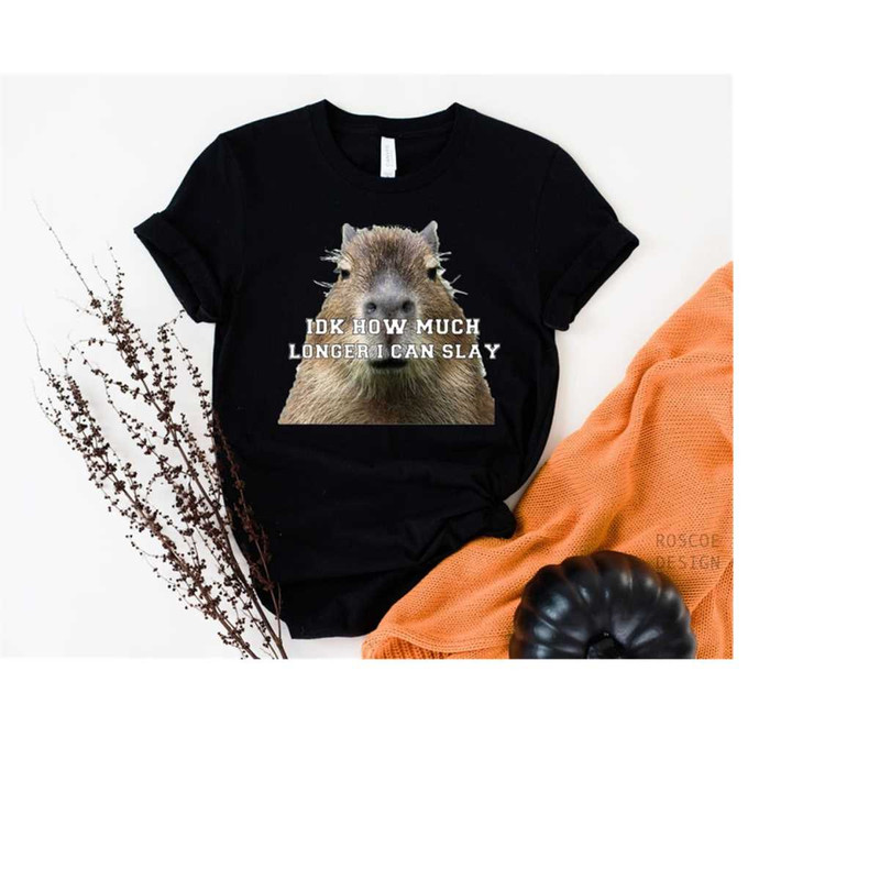 MR-2882023155652-idk-how-much-longer-i-can-slay-capybara-sarcastic-dank-meme-image-1.jpg