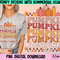 Pumpkin Season Png, Fall sublimation design, fall png, fall vibes, autumn vibes, pumpkin spice png, pumpkin patch png, retro sublimation - 1.jpg