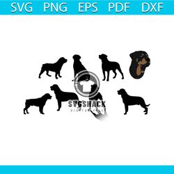 portrait silhouettes dog breed rottweiler vector svg, trending svg, dog svg, animal svg, dog bundle file svg, dog breed
