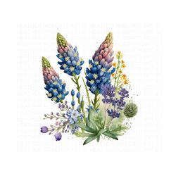 bluebonnets watercolor clipart - texas state flower, wildflowers clipart, watercolor flowers, bluebonnet painting