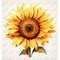 MR-2882023214440-sunflower-png-beautiful-sunflower-png-sunflower-png-image-1.jpg