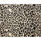 MR-288202322422-leopard-png-seamless-leopard-png-png-spotted-pattern-image-1.jpg