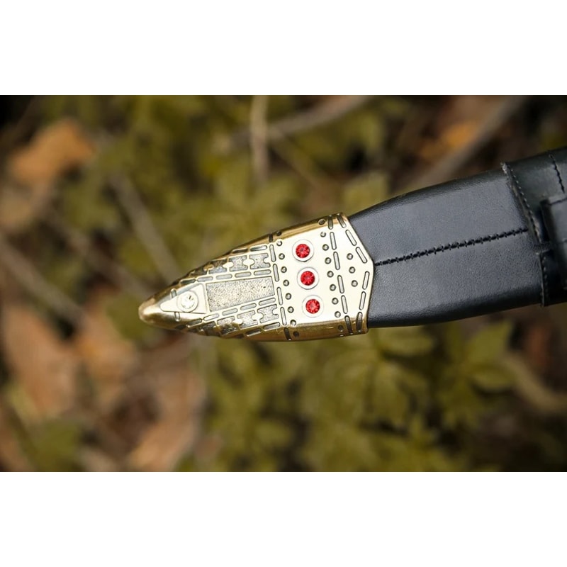 WhatsApp Image 2023-08-29 at 4.25.20 PM.jpeg