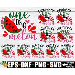 one in a melon, watermelon birthday, matching watermelon birthday, family one in a melon, watermelon svg, summer,family