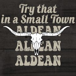 Bullhead Try That In A Small Town SVG – Jason Aldean 2023 SVG PNG EPS DXF PDF, Cricut File