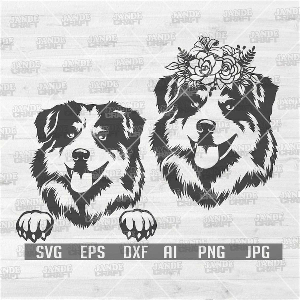 MR-298202322342-australian-shepherd-svg-floral-dog-svg-shepherd-dog-svg-image-1.jpg