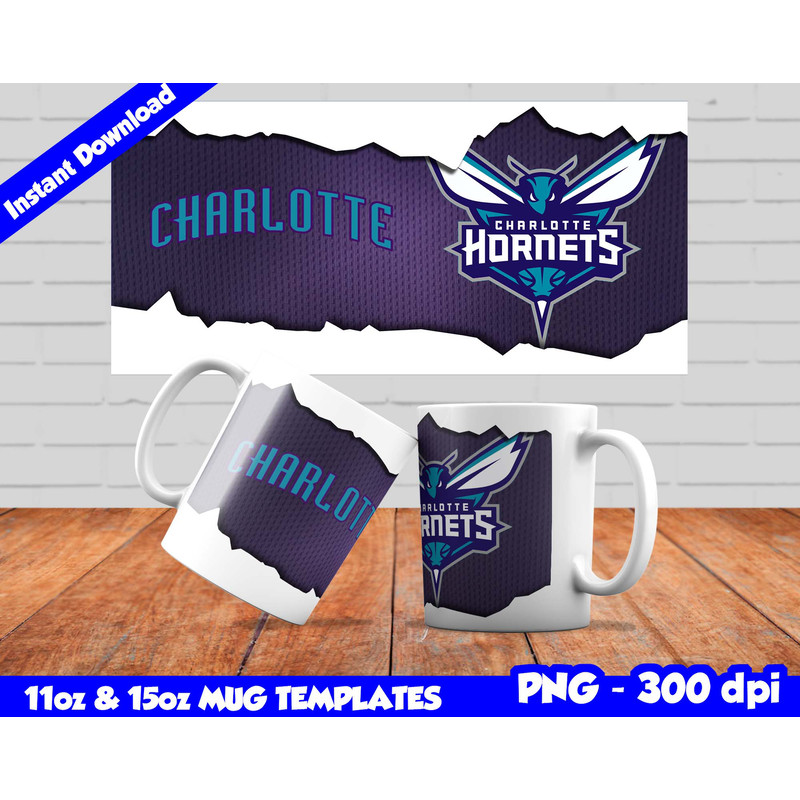 charlotte hornets z.jpg