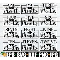 baby monthly milestone markers, monthly milestone svg for baby photos, monthly milestone svg, baby milestone svg, monthl