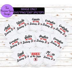 matching family baseball birthday. family baseball birthday. matching family birthday. rookie of the year. baseball birt