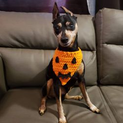 crochet dog bandana, handmade bandana, dog halloween costume, pumpkin