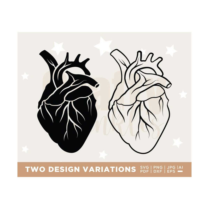 MR-308202311208-anatomical-heart-svg-heart-svg-nurse-life-medical-doctor-image-1.jpg