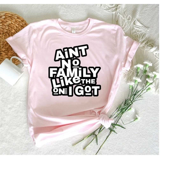 MR-3082023113044-unisex-family-shirts-family-reunion-shirt-aint-no-image-1.jpg