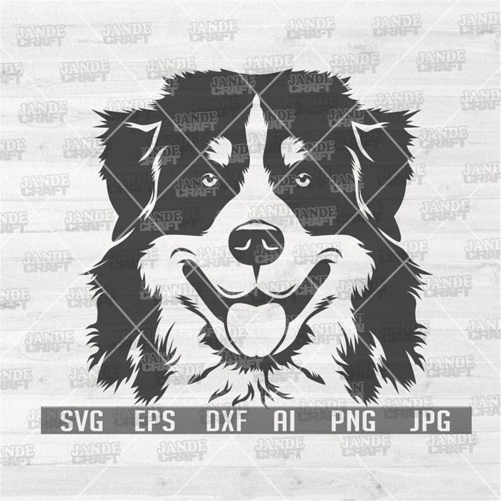 MR-3082023123338-bernese-mountain-dog-svg-dog-svg-dog-clipart-dog-cutfile-image-1.jpg