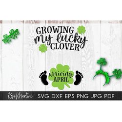Growing my lucky clover Arriving April SVG file for cutting machines Cricut, Silhouette Saint Patrick's Day Pregnancy An