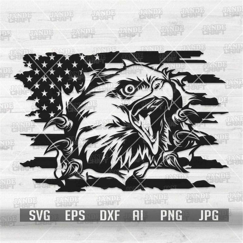 MR-3082023134852-patriotic-eagle-teas-off-usa-flag-svg-american-animal-image-1.jpg
