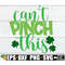 MR-308202314119-cant-pinch-this-st-patricks-day-svg-kids-st-image-1.jpg