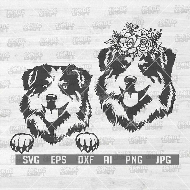 MR-308202314270-australian-shepherd-svg-floral-dog-svg-shepherd-dog-svg-image-1.jpg