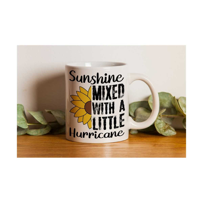 MR-3082023152536-sunshine-mixed-with-a-little-hurricane-svg-png-pdf-t-shirt-image-1.jpg