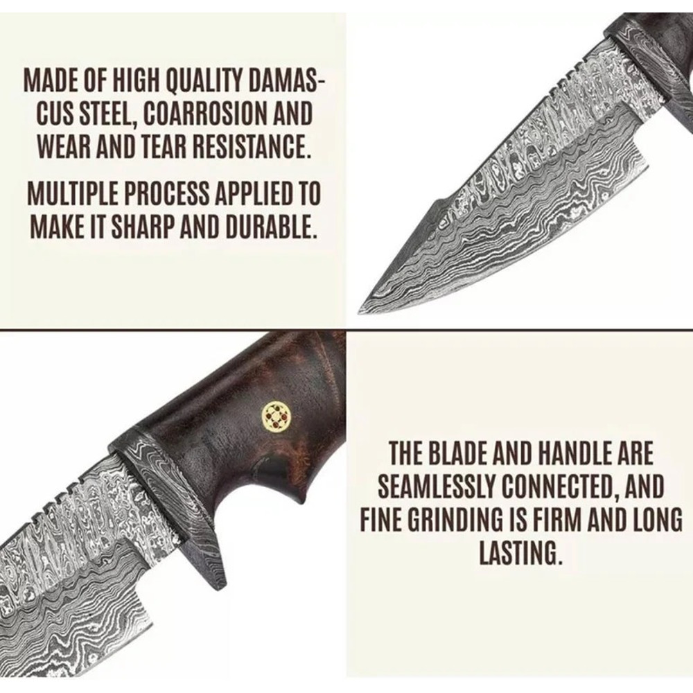 WhatsApp Image 20230830 at 14446 PM 2jpeg