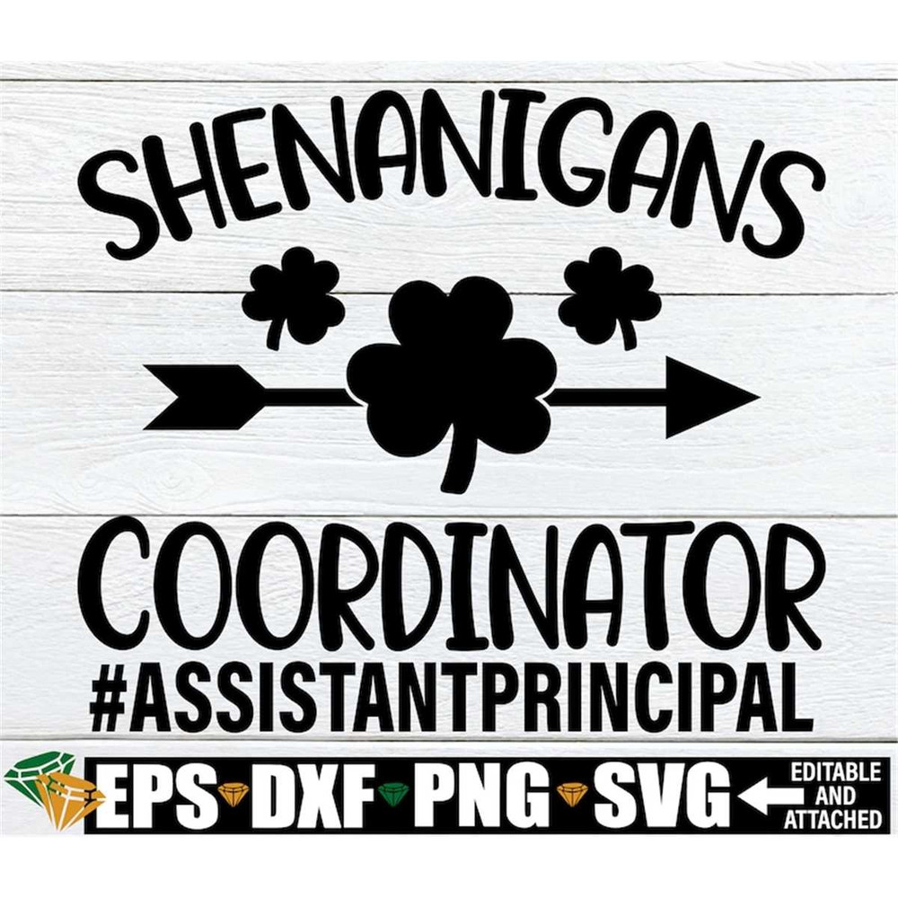 MR-308202316304-shenanigans-coordinator-assistant-principal-st-patricks-image-1.jpg